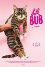 Watch Lil Bub & Friendz Putlocker