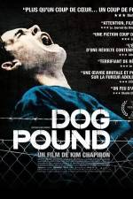 Watch Dog Pound Putlocker