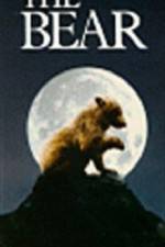 Watch The Bear - (L'ours) Online Putlocker