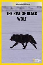 Watch The Rise of Black Wolf Putlocker
