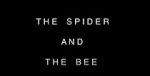 Watch The Spider and the Bee Online Putlocker