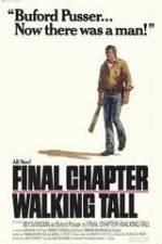 Watch Final Chapter Walking Tall Online Putlocker