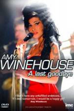 Watch Amy Winehouse - A Last Goodbye Online Putlocker