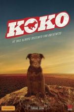 Watch Koko: A Red Dog Story Putlocker