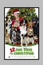 Watch 12 Dog Days Till Christmas Online Putlocker