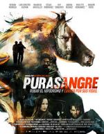 Watch Purasangre Online Putlocker