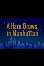 Watch A Hare Grows in Manhattan Online Putlocker