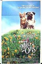 Watch Milo & Otis Online Putlocker