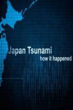 Watch Japan Tsunami: How It Happened Putlocker
