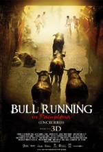 Watch Encierro 3D: Bull Running in Pamplona Putlocker