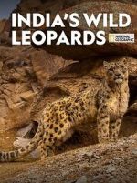 Watch India\'s Wild Leopards (Short 2020) Online Putlocker