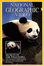 Watch Secrets of the Wild Panda Putlocker