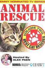 Watch Animal Rescue, Volume 2: Best Cat Rescues Putlocker