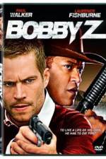 Watch The Death and Life of Bobby Z Online Putlocker
