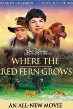 Watch Where the Red Fern Grows Online Putlocker