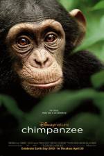 Watch Chimpanzee Online Putlocker