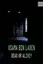 Watch The Final Report Osama bin Laden Dead or Alive Online Putlocker