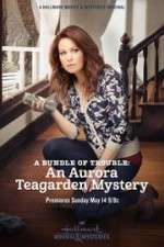 Watch A Bundle of Trouble: An Aurora Teagarden Mystery Putlocker