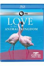 Watch Nature: Love in the Animal Kingdom Online Putlocker