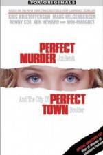 Watch Perfect Murder Perfect Town JonBenet and the City of Boulder Online Putlocker