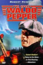 Watch The Great Waldo Pepper Putlocker