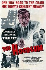 Watch The Hoodlum Online Putlocker