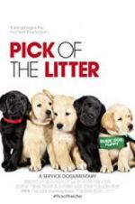 Watch Pick of the Litter Putlocker