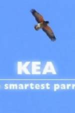 Watch Kea - The Smartest Parrot Online Putlocker