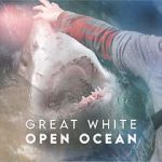 Watch Great White Open Ocean Online Putlocker