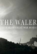 Watch The Waler: Australia\'s Great War Horse Putlocker