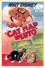 Watch Cat Nap Pluto Online Putlocker