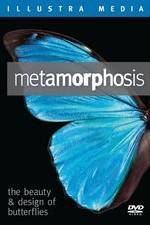 Watch Metamorphosis: The Beauty and Design of Butterflies Putlocker