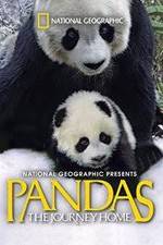 Watch Pandas: The Journey Home Putlocker