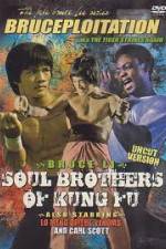 Watch Soul Brothers of Kung Fu Online Putlocker