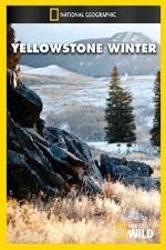 Watch National Geographic Yellowstone Winter Online Putlocker