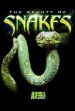 Watch Beauty of Snakes Online Putlocker