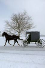 Watch Leaving Amish Paradise Putlocker