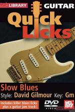 Watch Lick Library Quick Licks David Gilmour Online Putlocker