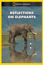 Watch Reflections on Elephants Putlocker