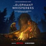 Watch The Elephant Whisperers (Short 2022) Putlocker