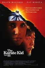 Watch The Karate Kid Part III Online Putlocker