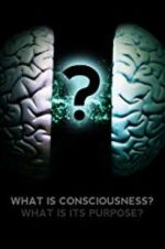 Watch What Is Consciousness? What Is Its Purpose? Putlocker