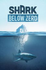 Watch Shark Below Zero Online Putlocker