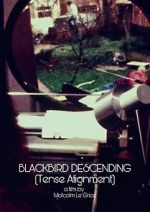 Watch Blackbird Descending Online Putlocker