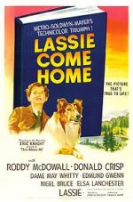 Watch Lassie Come Home Online Putlocker