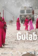 Watch Gulabi Gang Putlocker