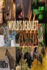 Watch National Geographic - Worlds Deadliest Animal Battles Putlocker