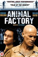 Watch Animal Factory Online Putlocker