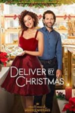 Watch Deliver by Christmas Putlocker