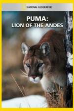 Watch National Geographic  Puma: Lion of the Andes Putlocker
